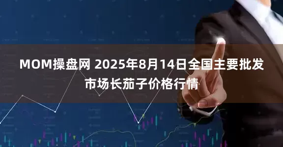 MOM操盘网 2025年8月14日全国主要批发市场长茄子价格行情