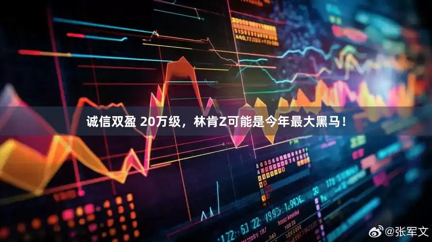 诚信双盈 20万级，林肯Z可能是今年最大黑马！