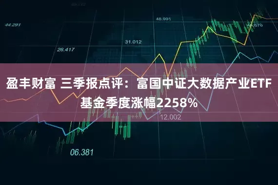 盈丰财富 三季报点评：富国中证大数据产业ETF基金季度涨幅2258%